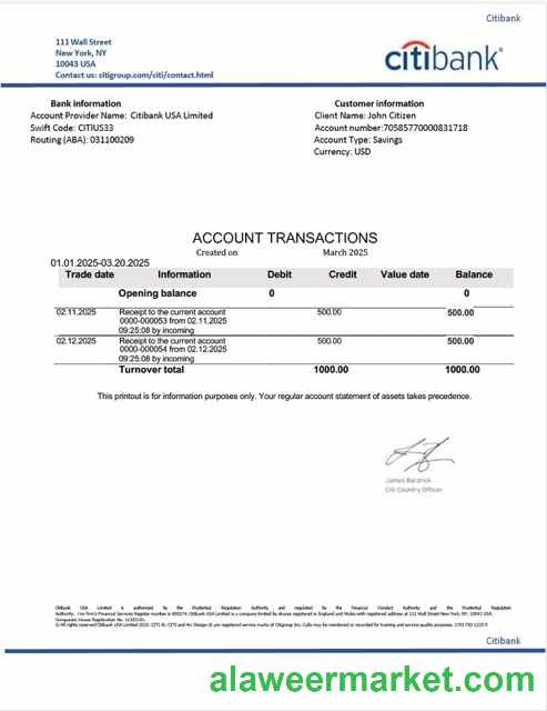 USA Citibank account statement Word and PDF template